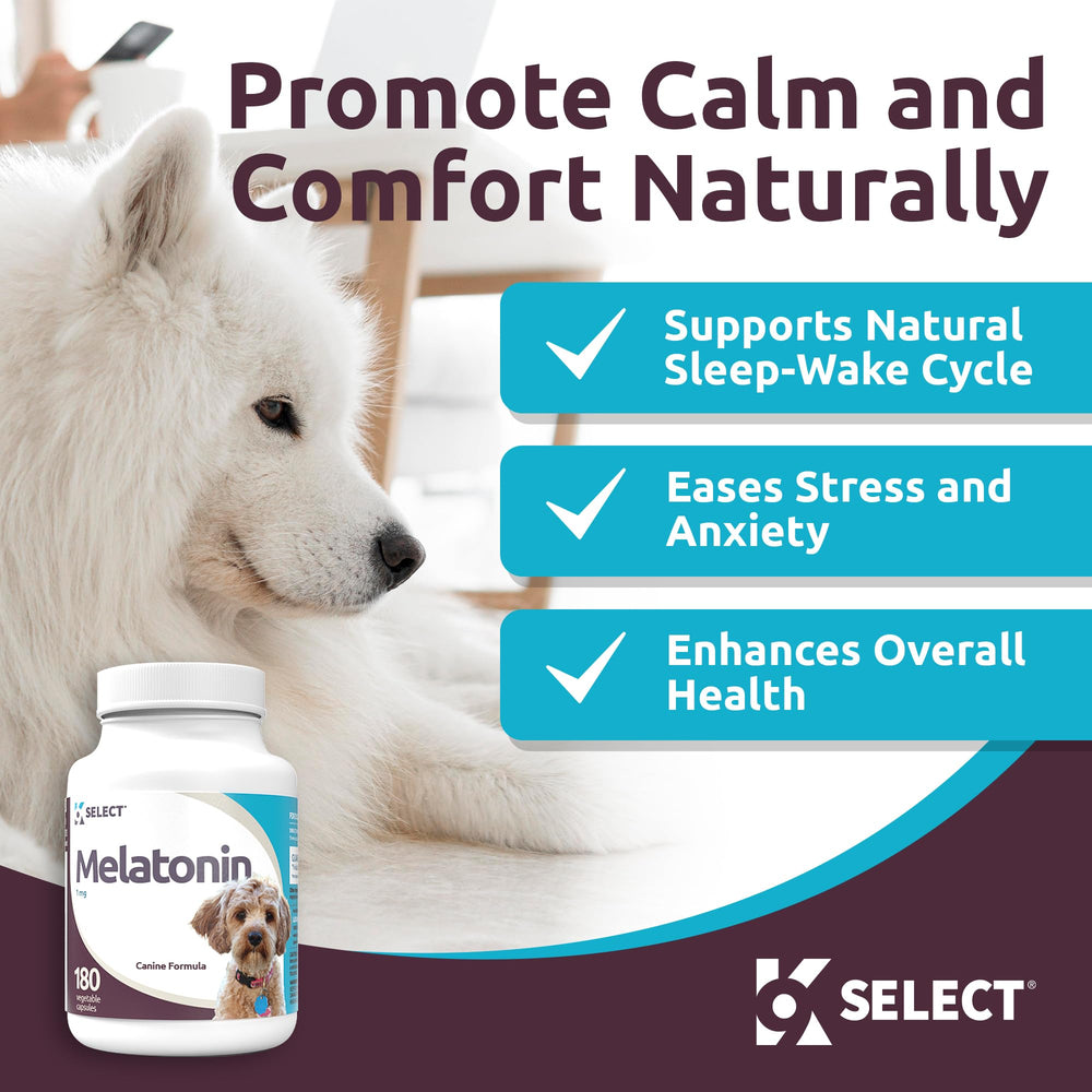 K9 Select Melatonin dog sleep capsules promoting calmer nights for anxious pups.