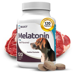 K9 Select melatonin bottle front; 180 beef-flavored calming chews for small dogs.