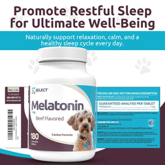 Dog remains calm during thunder with K9 Select melatonin.