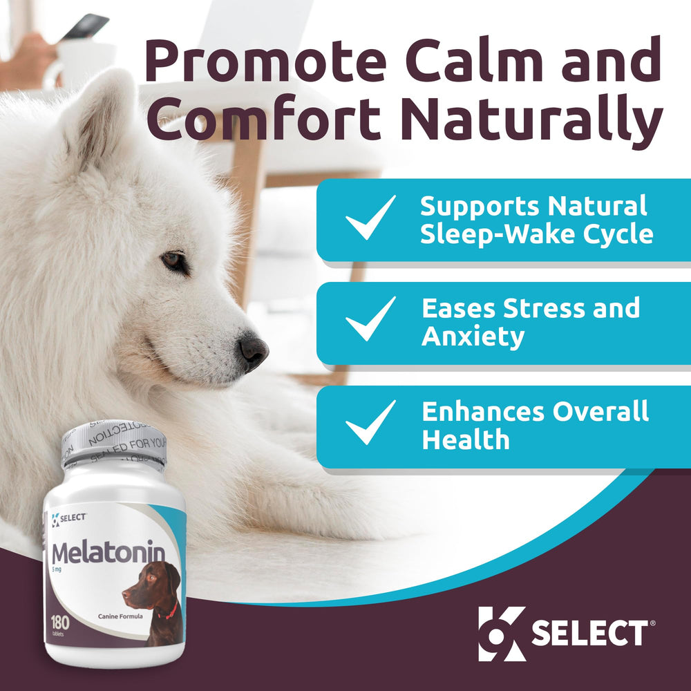 K9 Select melatonin large dog resting image shows relaxed demeanor