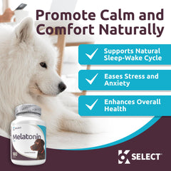 K9 Select melatonin large dog resting image shows relaxed demeanor