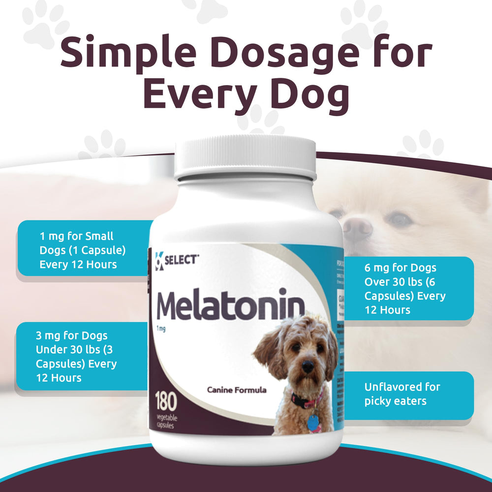 K9 Select Melatonin night rest capsules supporting peaceful nights for small breeds.