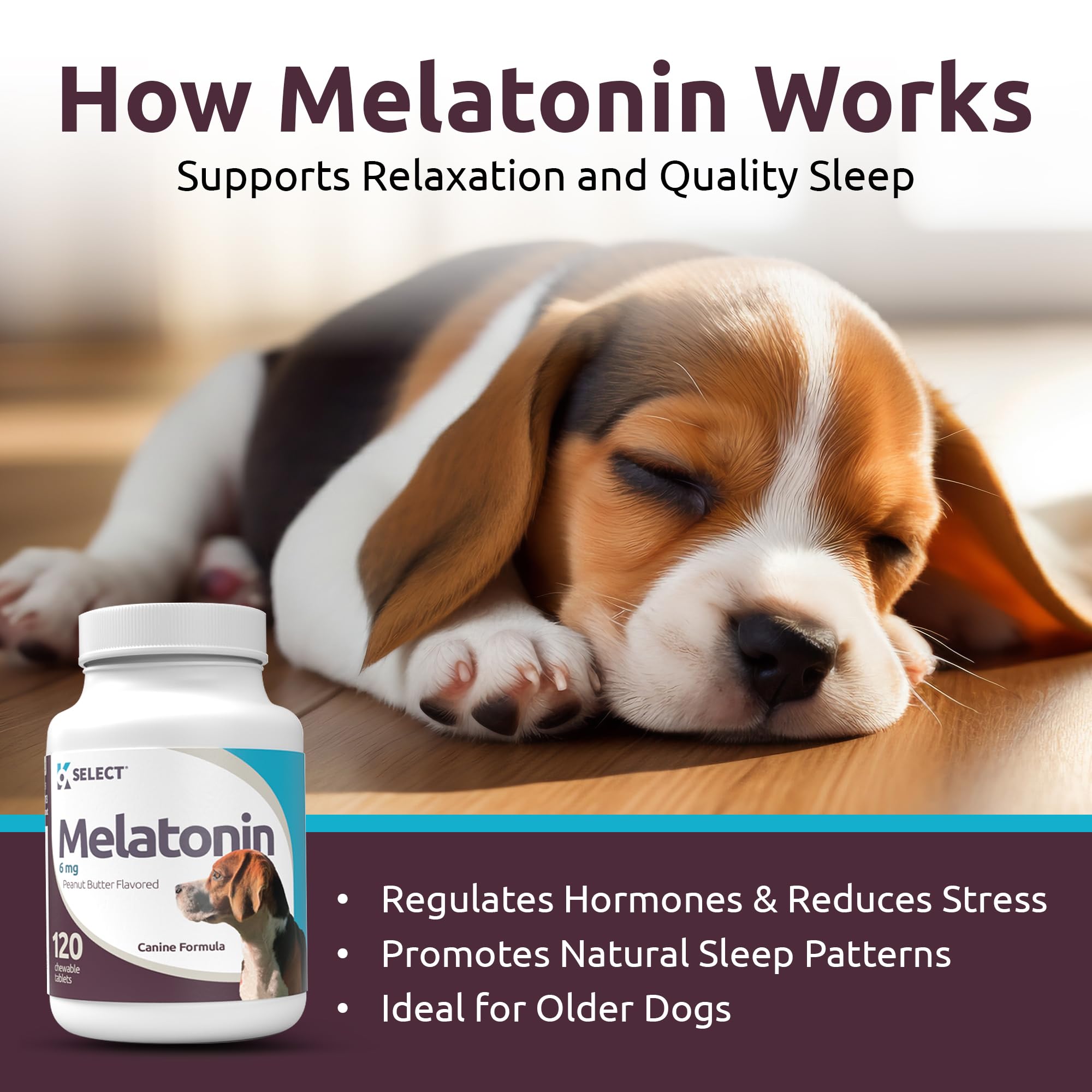 Peanut butter flavored melatonin chews for dogs' relaxed evenings.