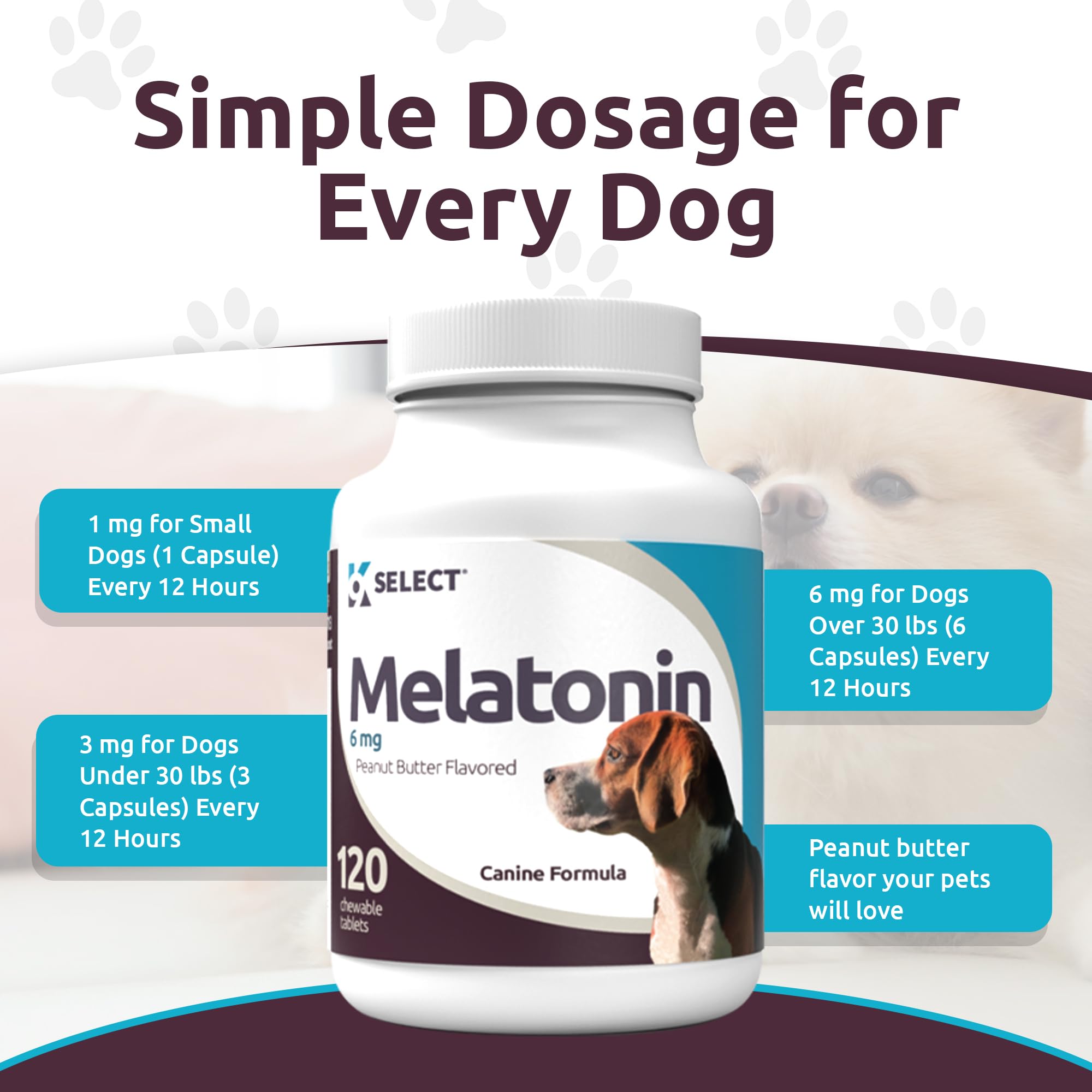 Melatonin supports dogs' sleep-wake cycle for restful nights.