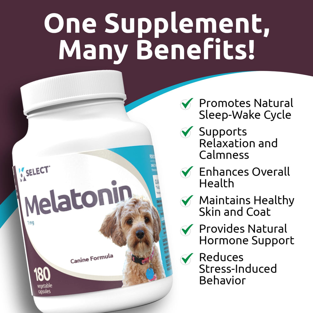 K9 Select Melatonin travel stress capsules helping dogs adapt to new environments.