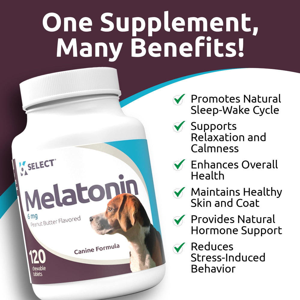 Vitality-focused calming chews offering natural support for anxious dogs.