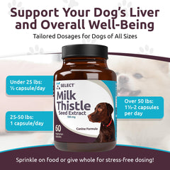 K9 Select Milk Thistle capsules offer an easy, digestible liver health boost.