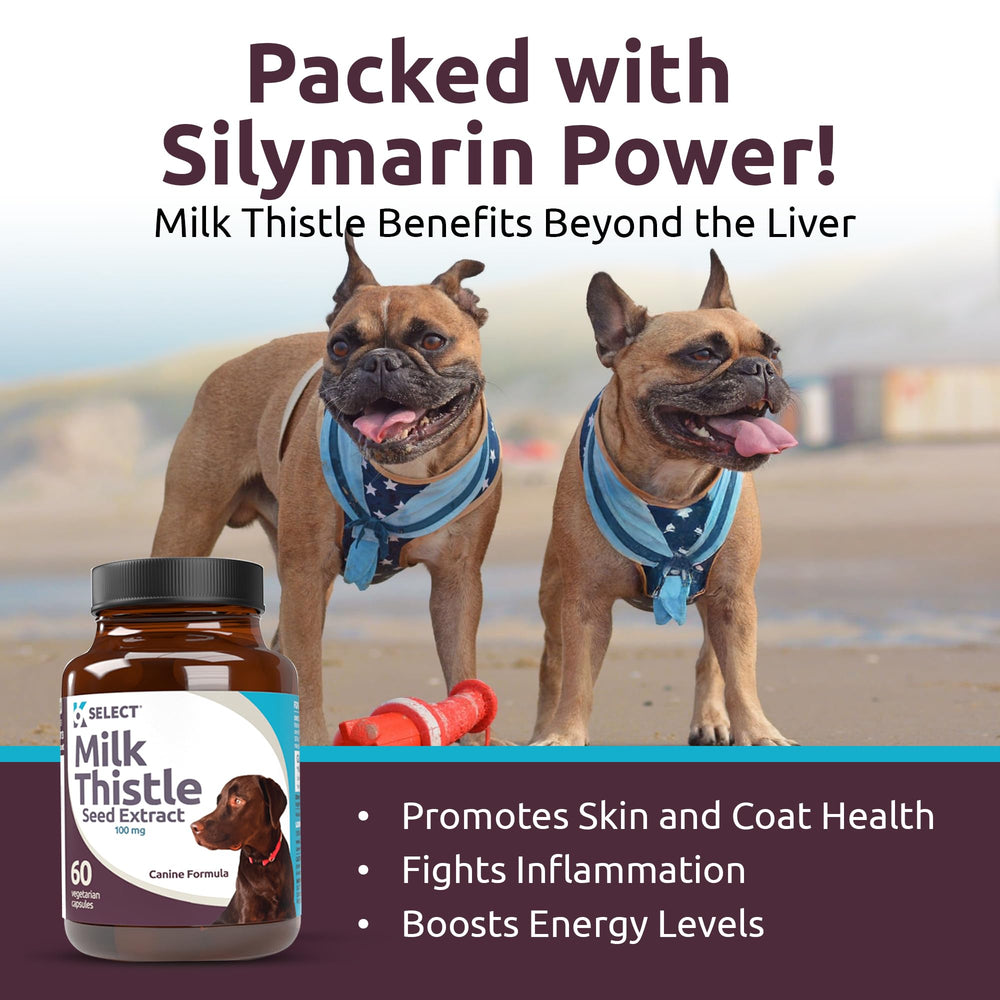 K9 Select Milk Thistle ingredient image emphasizes milk thistle extract, supporting liver function.