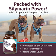 K9 Select Milk Thistle ingredient image emphasizes milk thistle extract, supporting liver function.