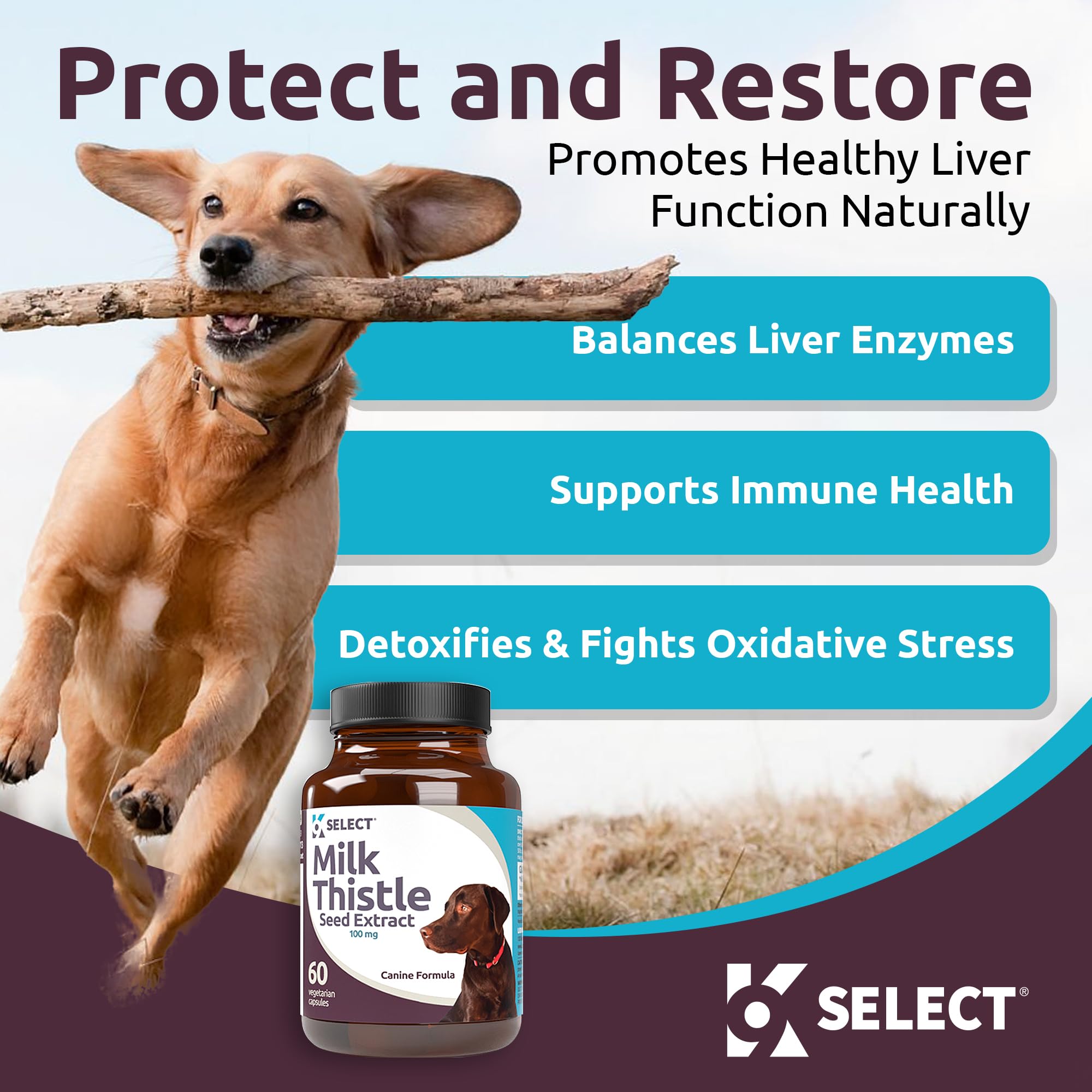 K9 Select Milk Thistle label front with dosage details, aiding informed use.