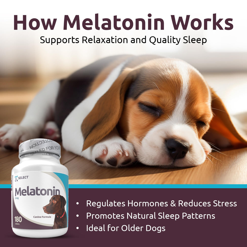 K9 Select natural-flavor dog tablets image highlighting tasty, easy-to-digest calming support