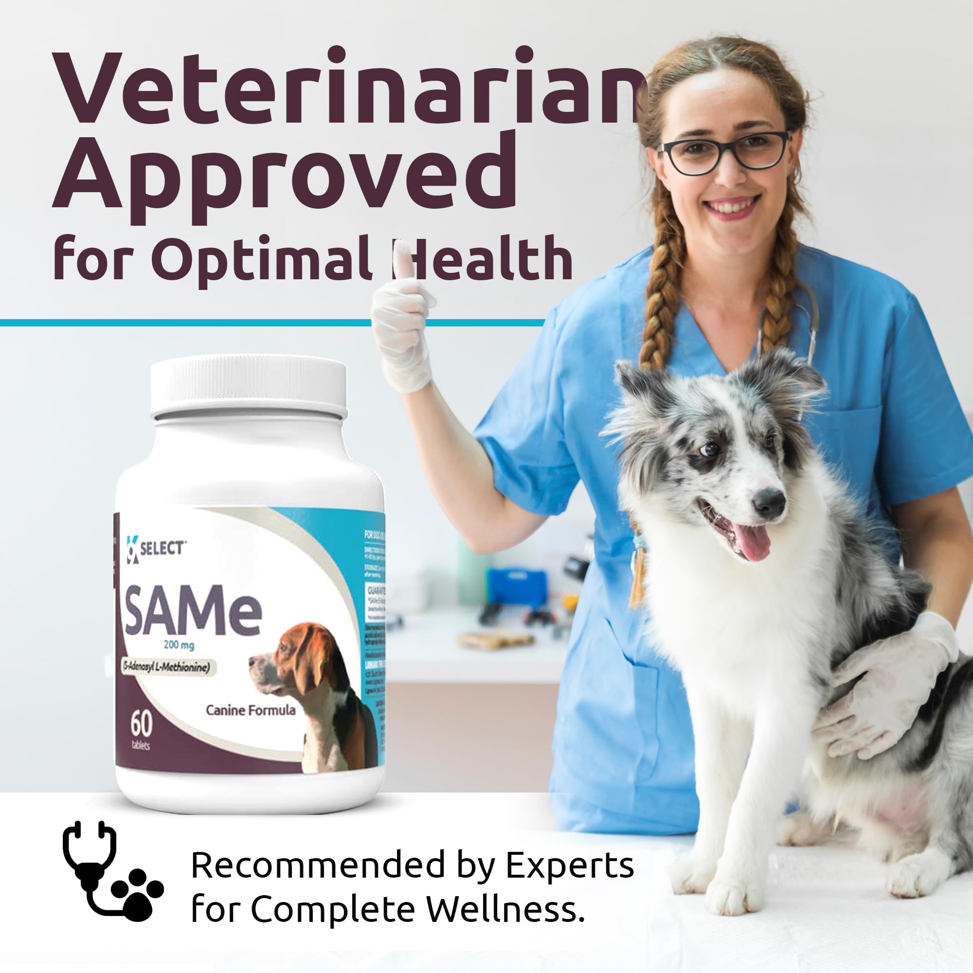 K9 Select SAM-e dog-friendly daily routine promoting mobility and vitality.