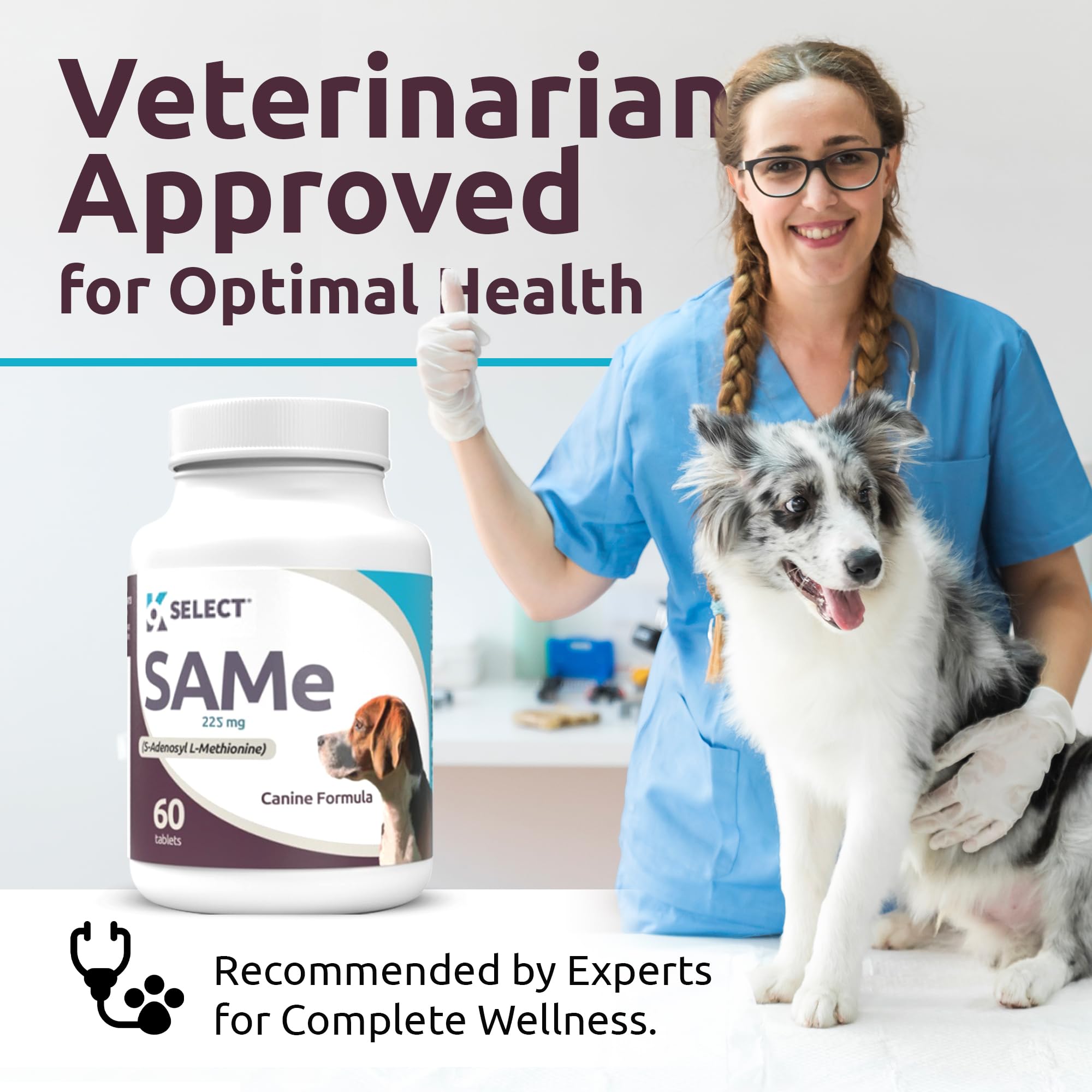 K9 Select SAM-e dog nutrition scene emphasizing wellness