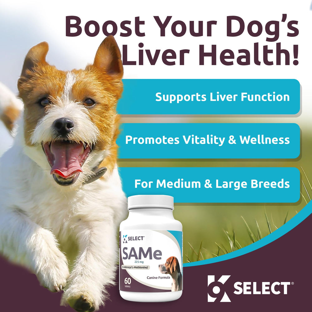 K9 Select SAM-e enteric coating illustration demonstrating absorption in dogs