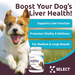 K9 Select SAM-e enteric coating illustration demonstrating absorption in dogs