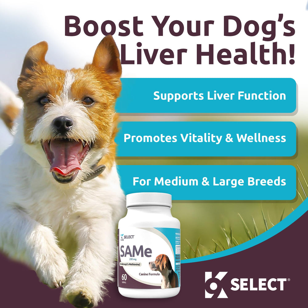 K9 Select SAM-e tablets close-up, 200 mg each for larger dogs.