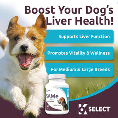 K9 Select SAM-e tablets close-up, 200 mg each for larger dogs.