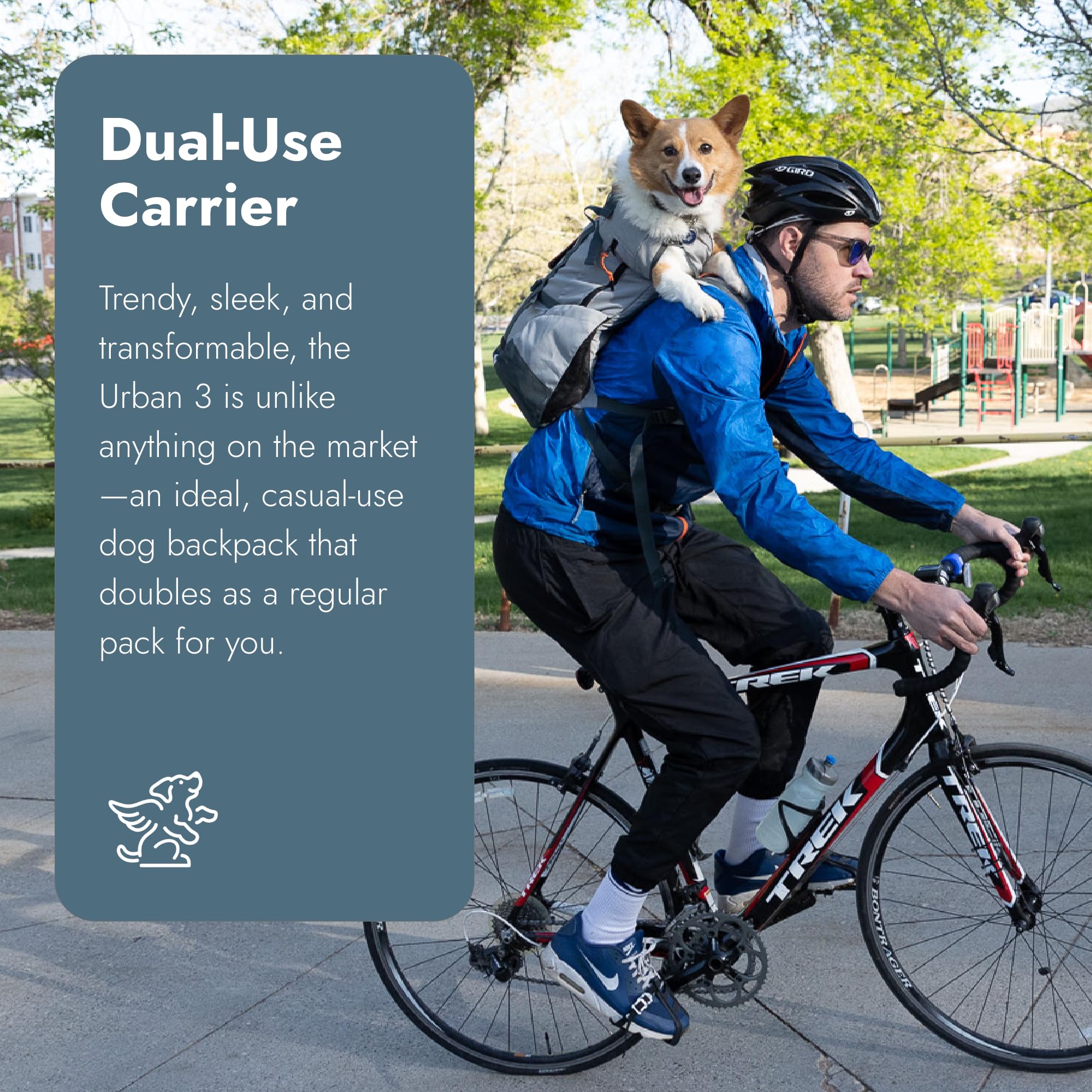 K9 Sport Sack Urban 3 dog in carrier: cozy, hands-free transport for short trips.