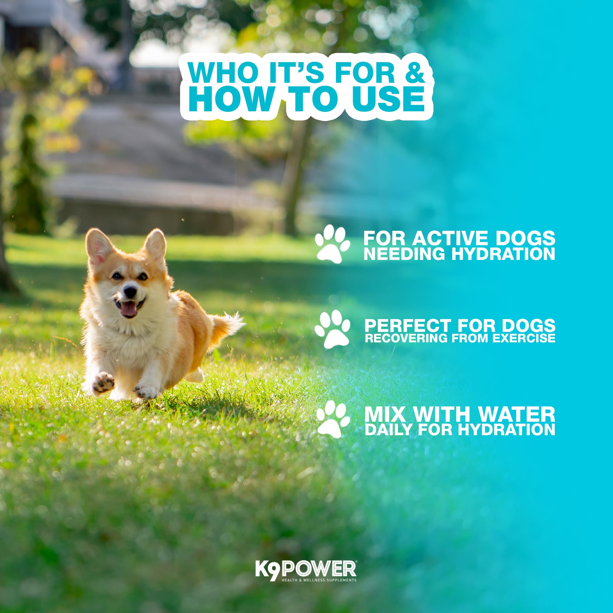 K9Power Go Dog real meat flavor packaging conveys tasty hydration aid.