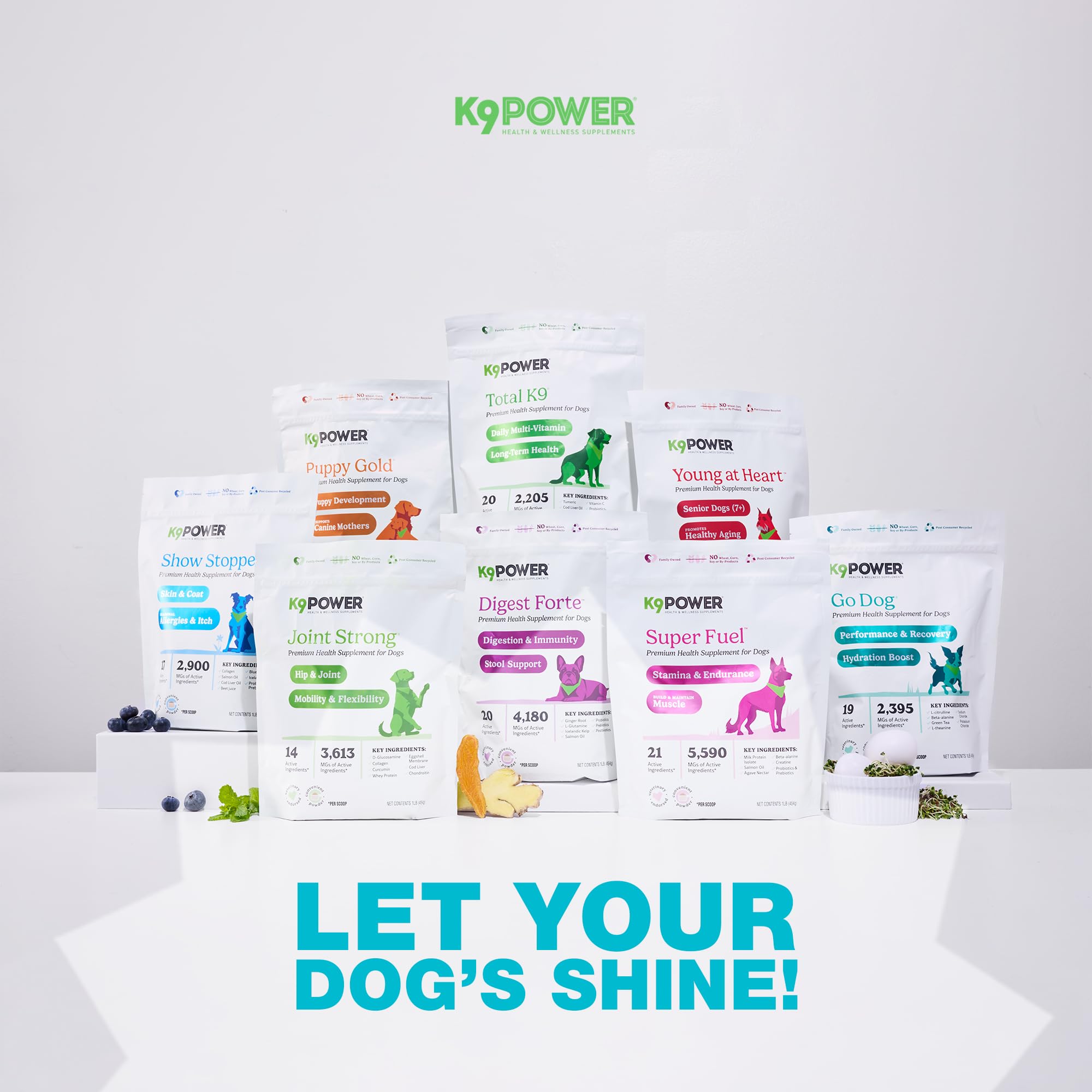 K9Power Go Dog training session with dog using supplement.
