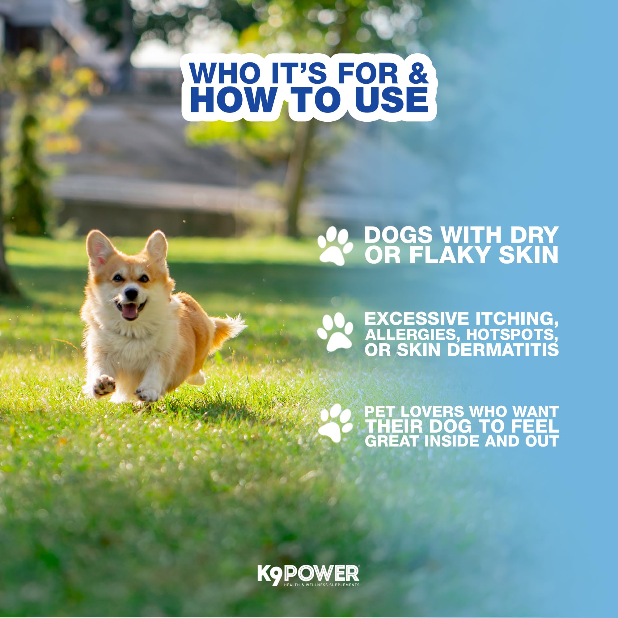 K9Power Show Stopper boosts immune function and digestion for balance.
