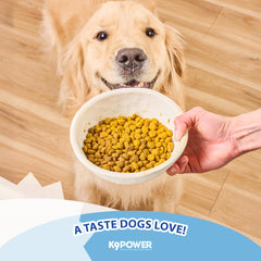 K9Power Show Stopper supports seasonal comfort with soothing, nutrient-rich formula.