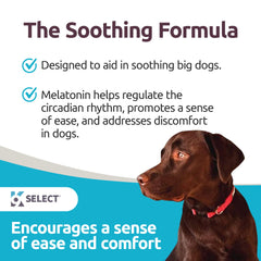 K9 Select packaging for large-dog 6 mg melatonin tablets for easy dosing.