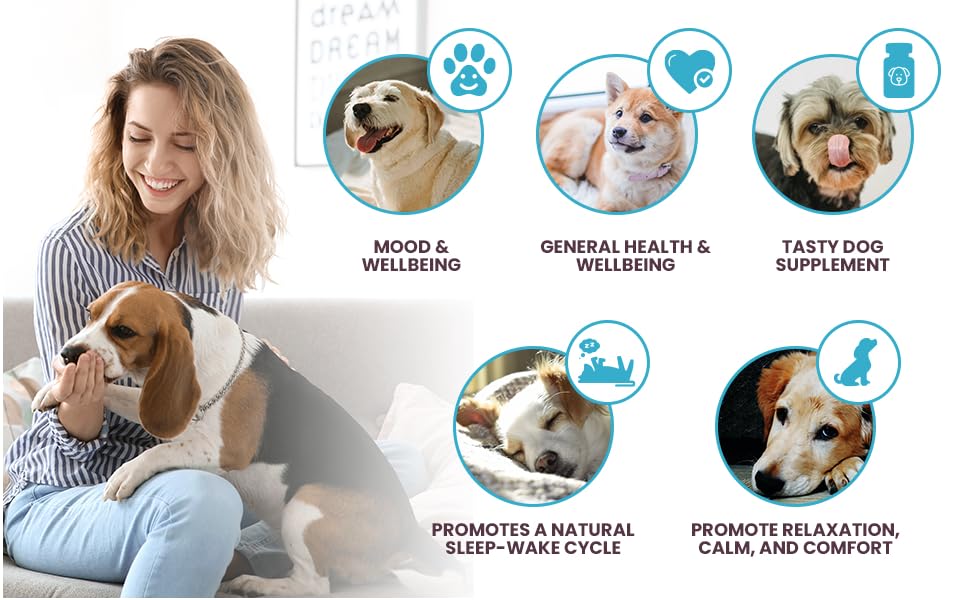 90-tablet bottle of K9 Select calming chews for ongoing stress management.