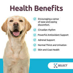 K9 Select melatonin supports your dog's natural sleep-wake cycle.