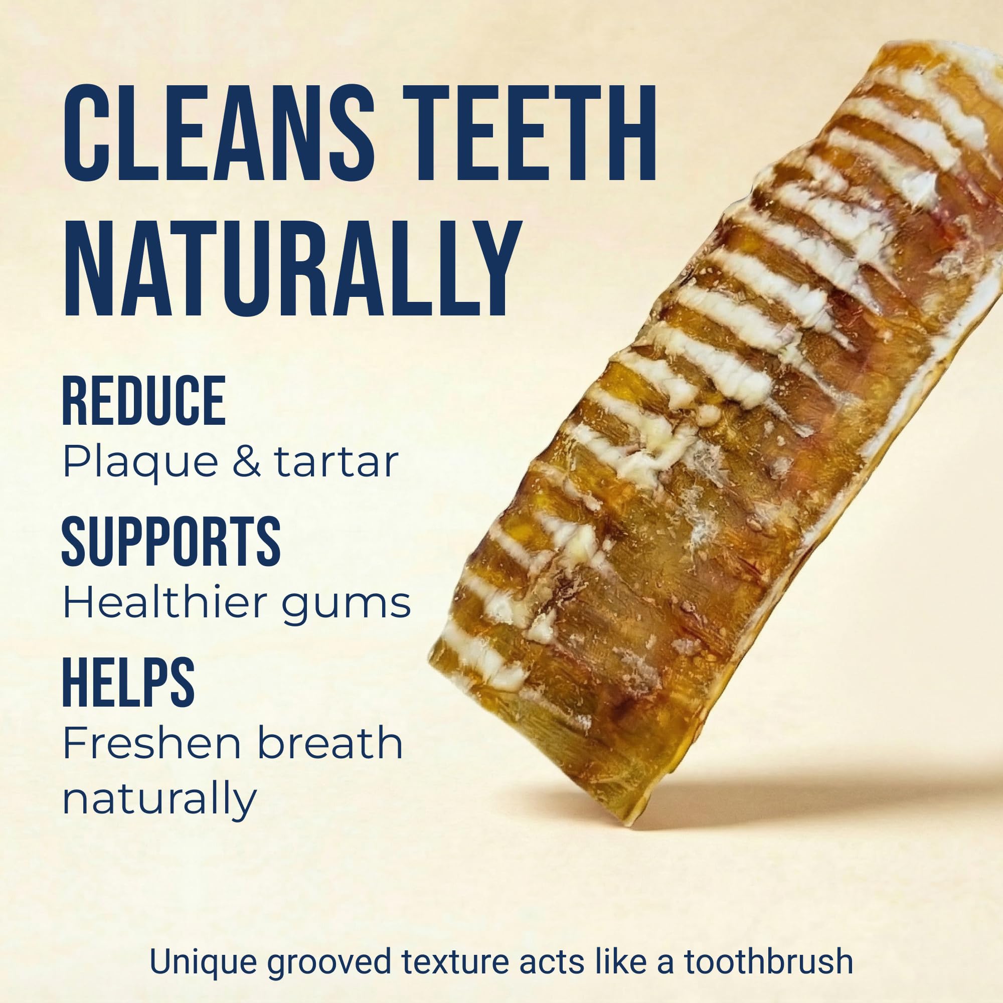 Beef trachea piece from K9warehouse is a natural chew