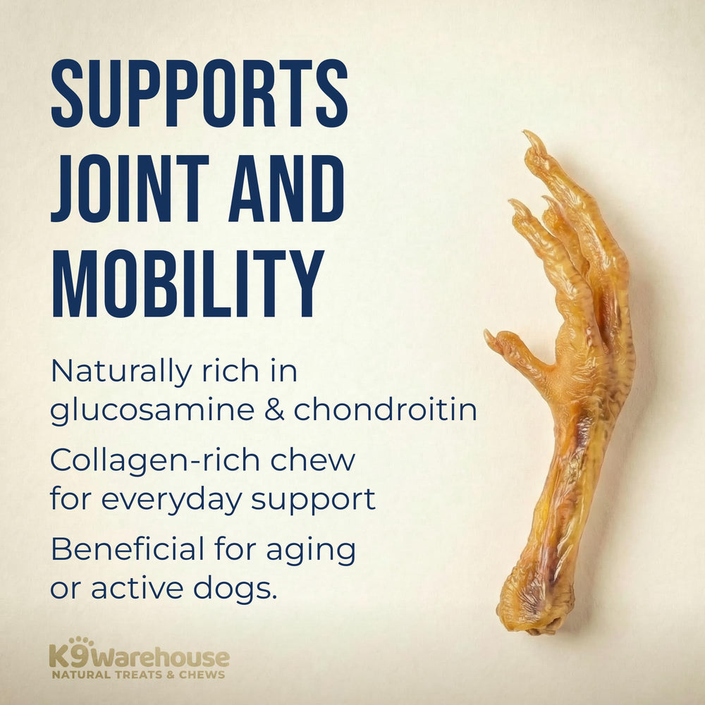 K9warehouse chicken feet dental benefits — supports oral health