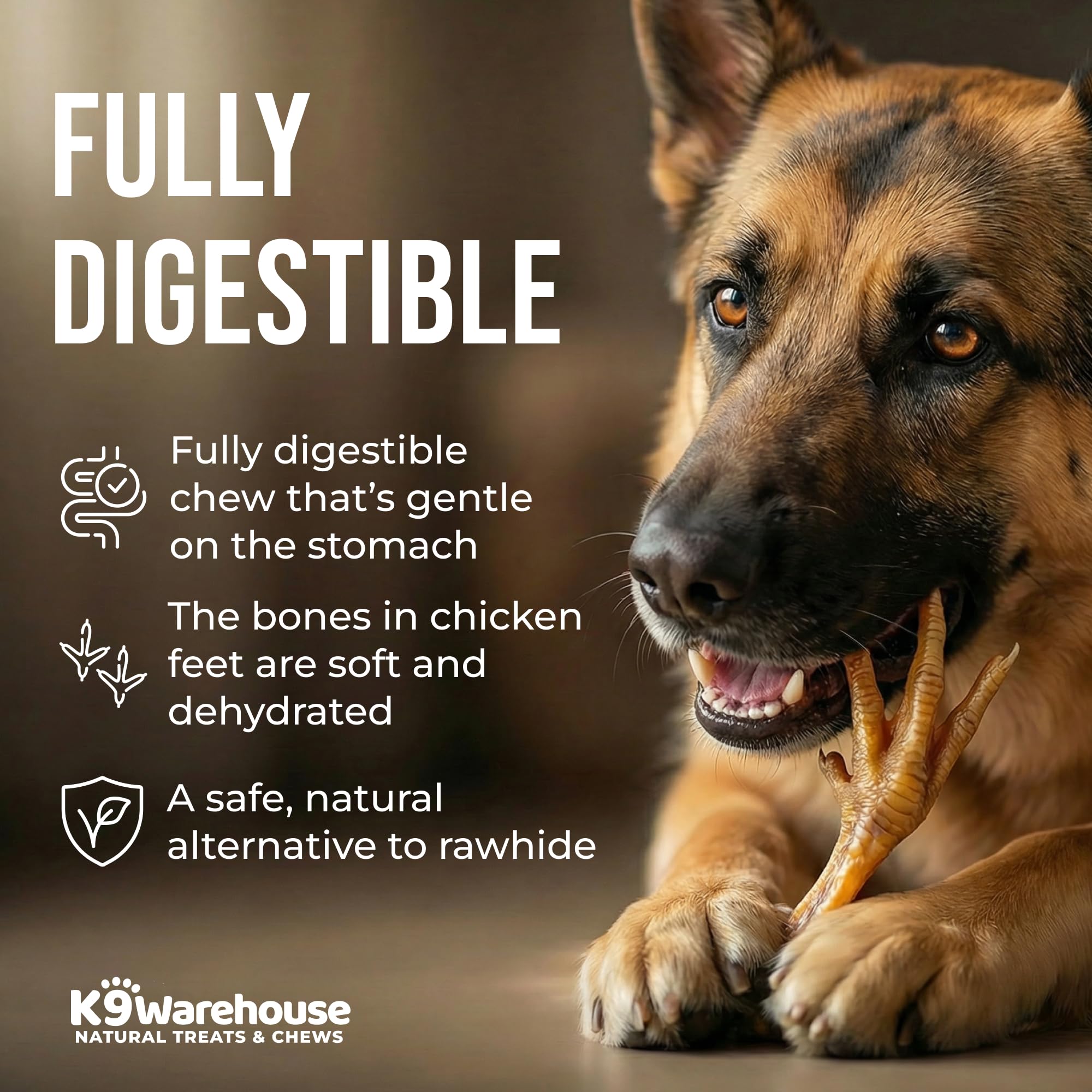 K9warehouse chicken feet texture closeup — crunchy chew for dogs