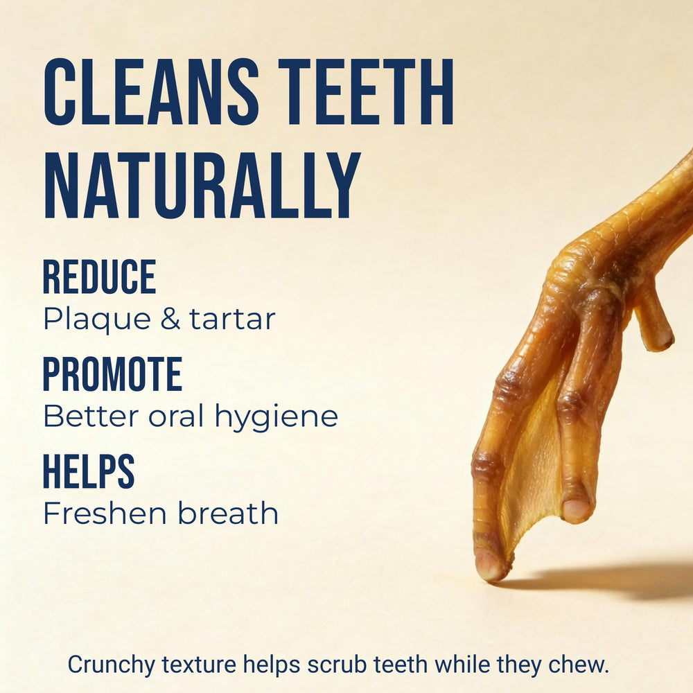 K9warehouse duck feet dental crunch action to reduce plaque