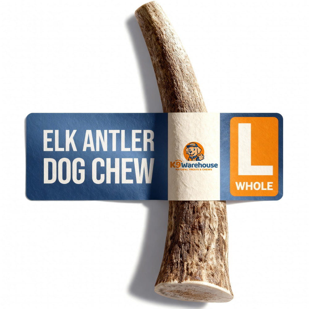 K9warehouse elk antlers for dogs with dense texture ideal for durable chewing.