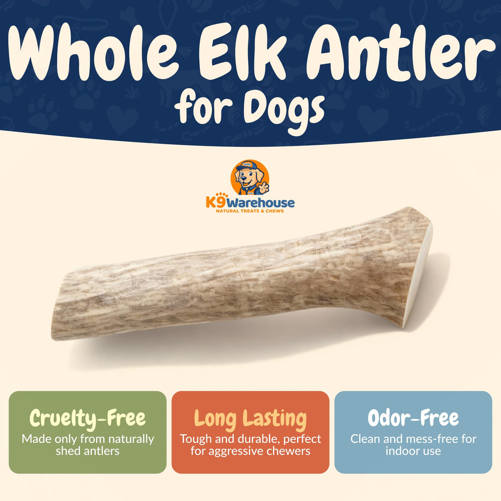 K9warehouse elk antlers long-lasting chew helps keep dogs engaged.