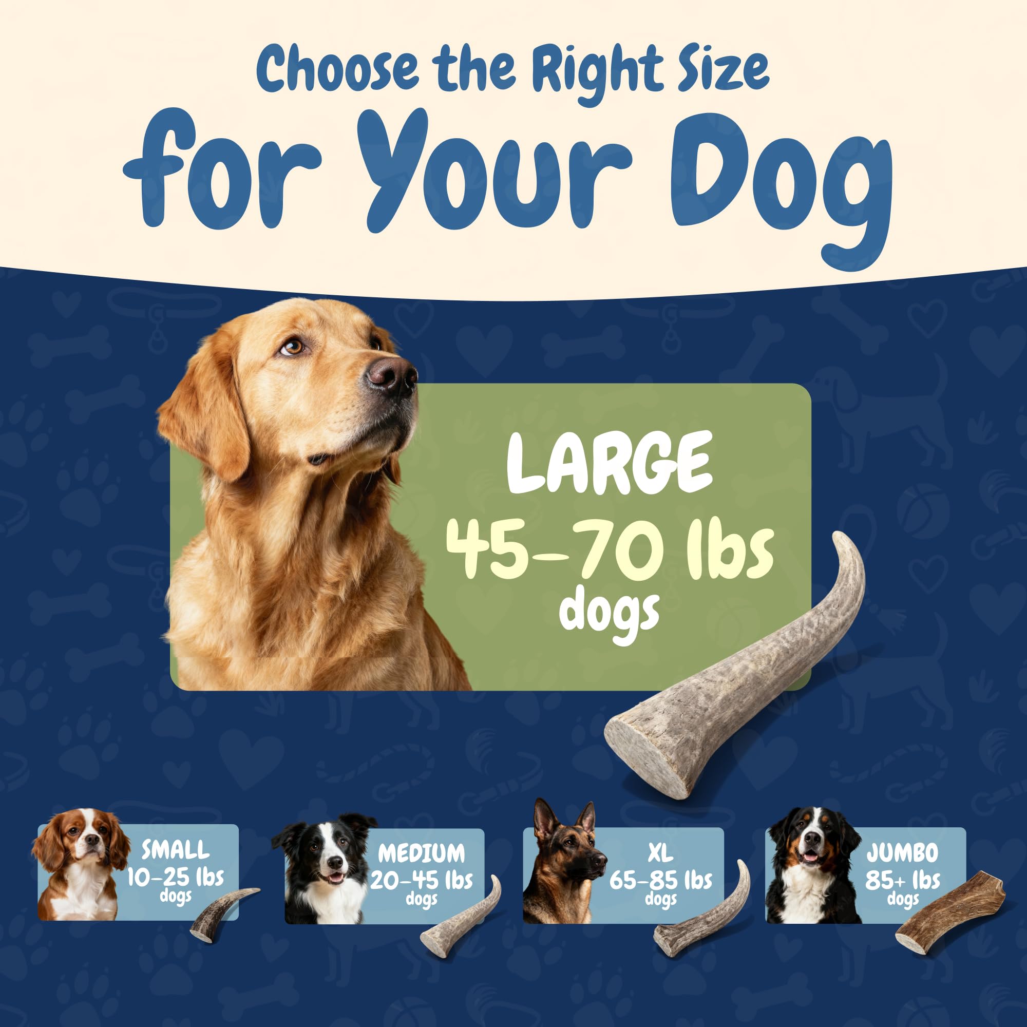K9warehouse elk antlers are mineral-rich to support canine bone health.