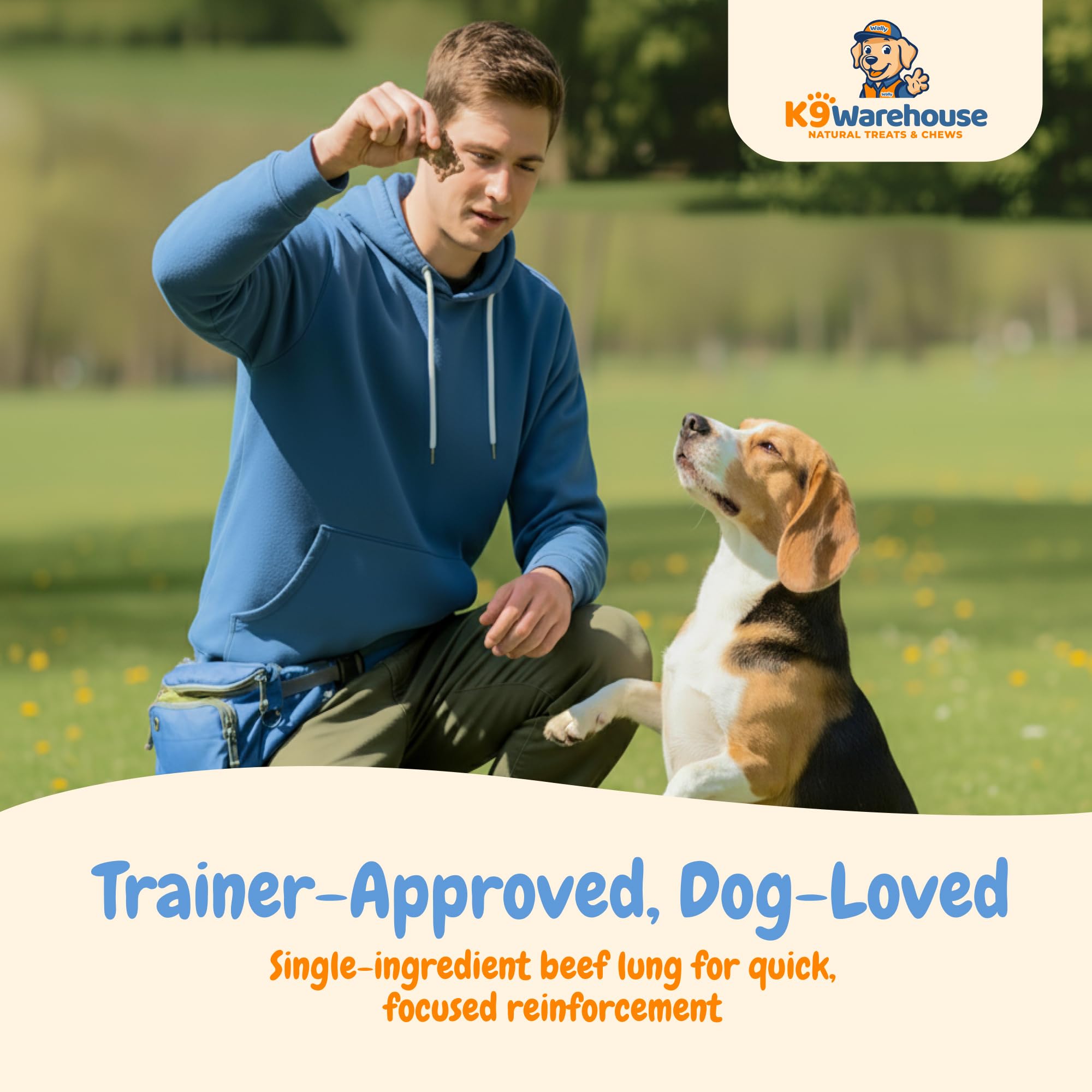 K9warehouse natural beef lung snacks free from artificial additives.