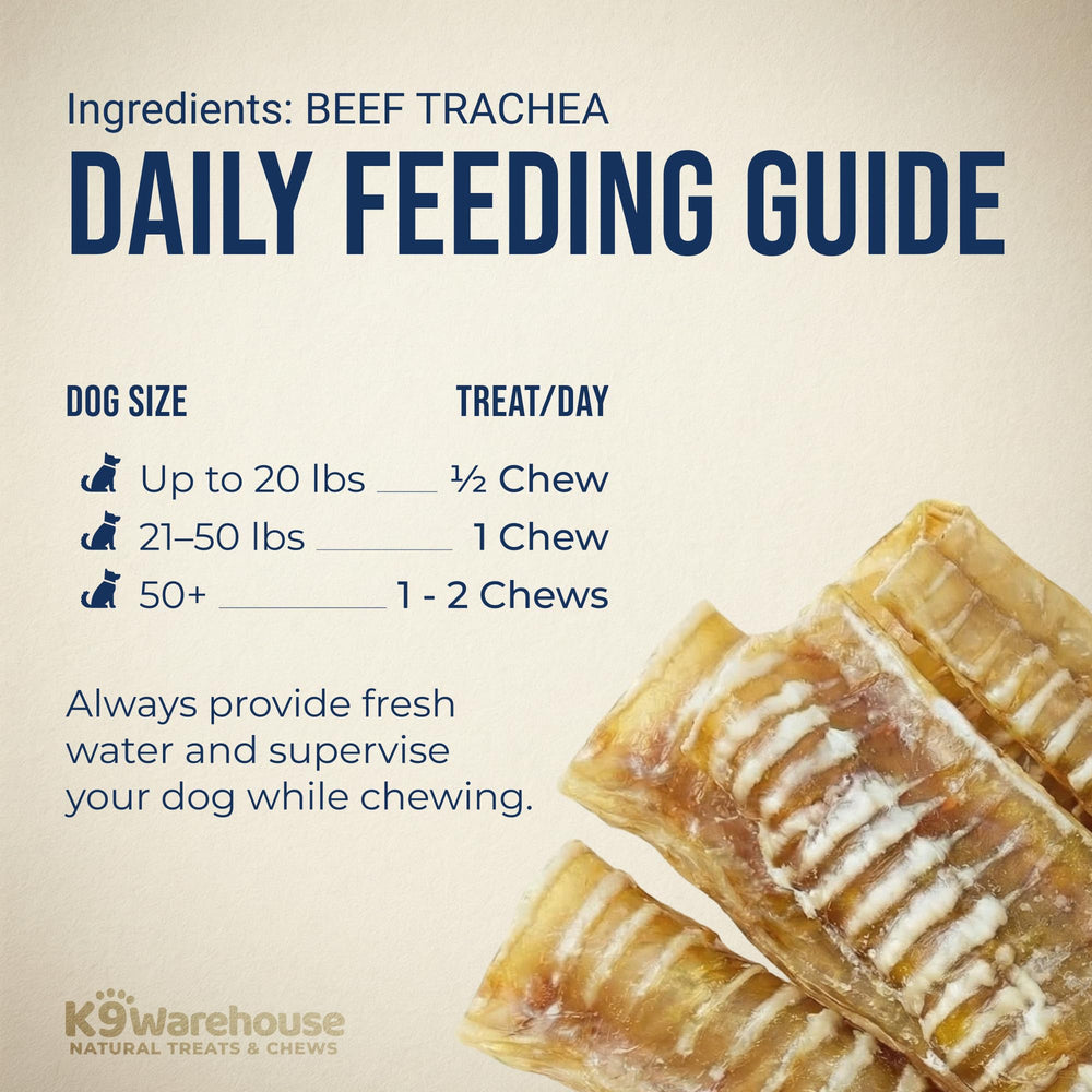 Dog enjoying enrichment from K9warehouse trachea chew