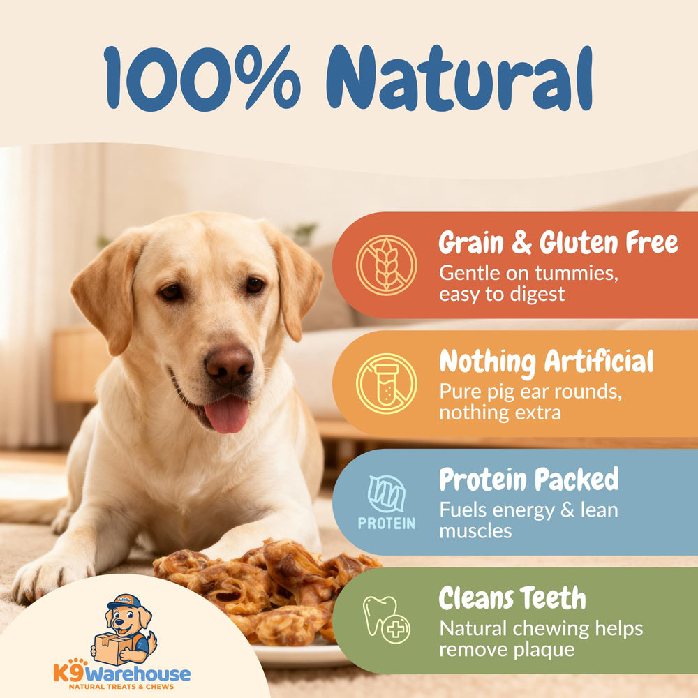 K9warehouse training pig ear treats shown for training sessions and rewards.
