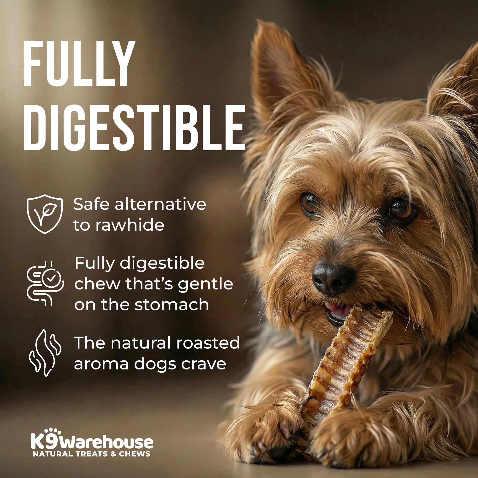 USA-packaged trachea emphasizes freshness and quality