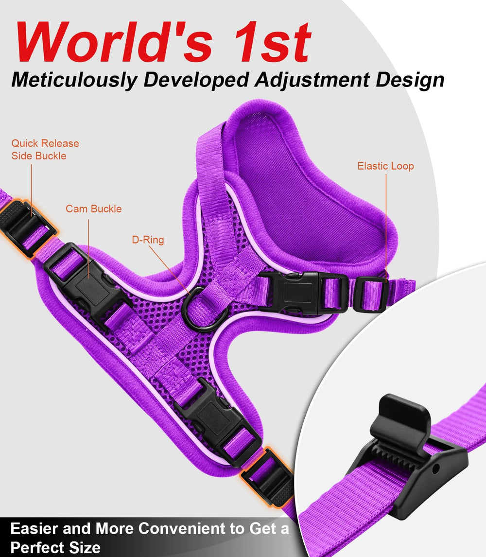 Kaazylab XS-S-M adjustable harness fits different cat sizes securely.