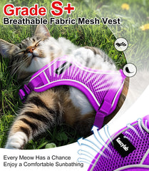 Kaazylab breathable air mesh fabric keeping your cat cool on walks.