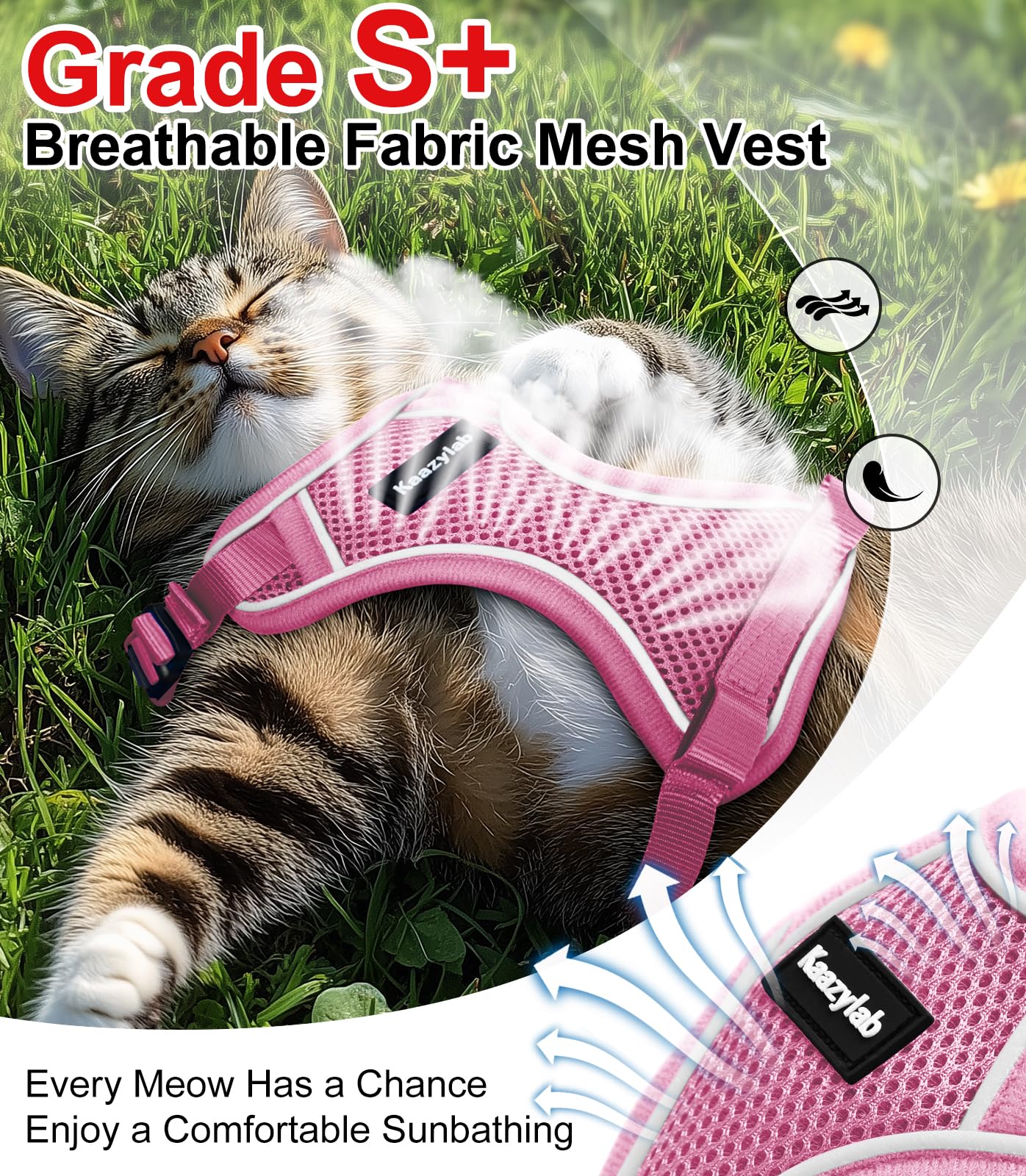Kaazylab 360 fit harness provides ergonomic support for secure wear.