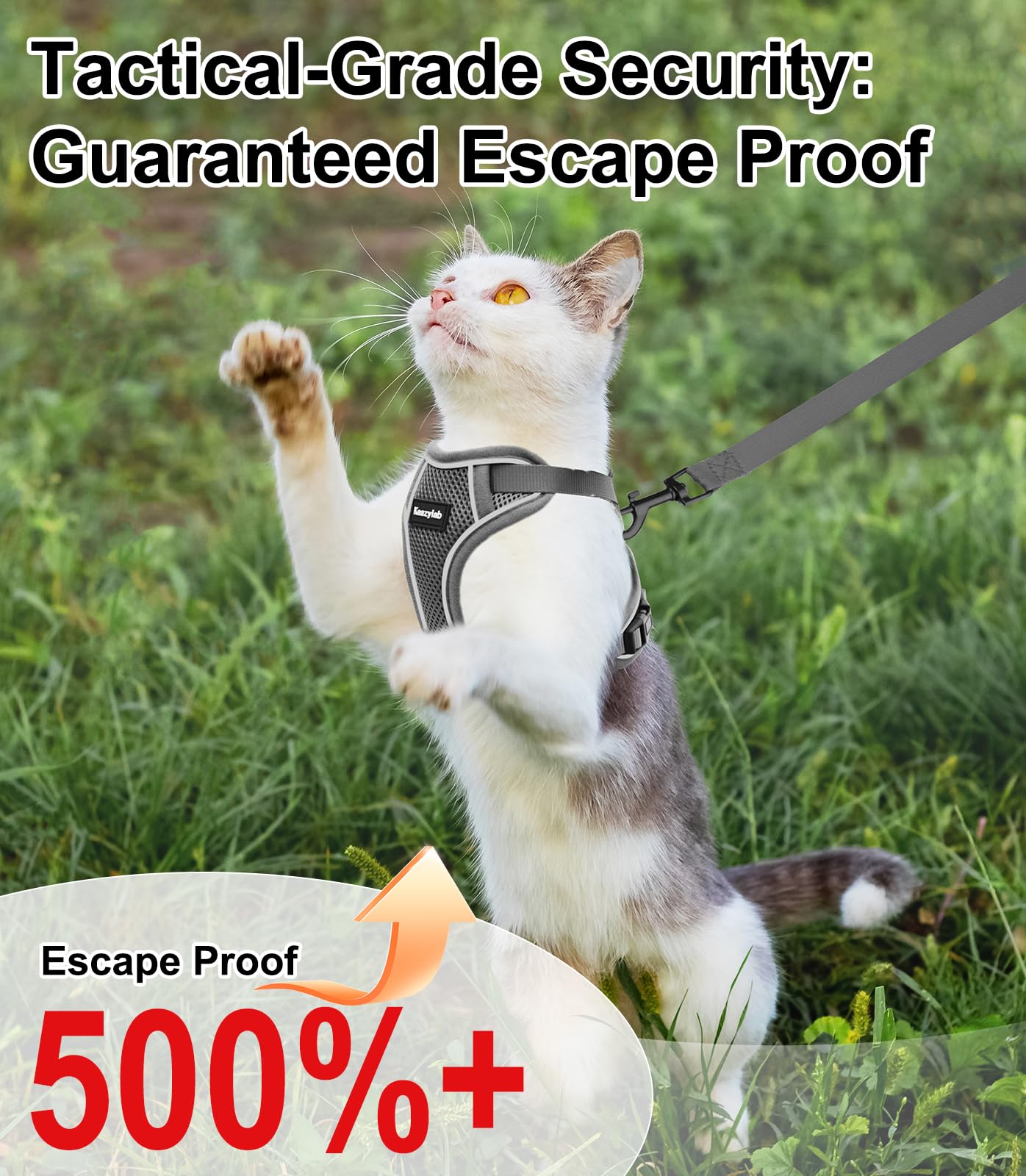 Kaazylab adjustable-sizes cat harness fits XS to M for comfort.