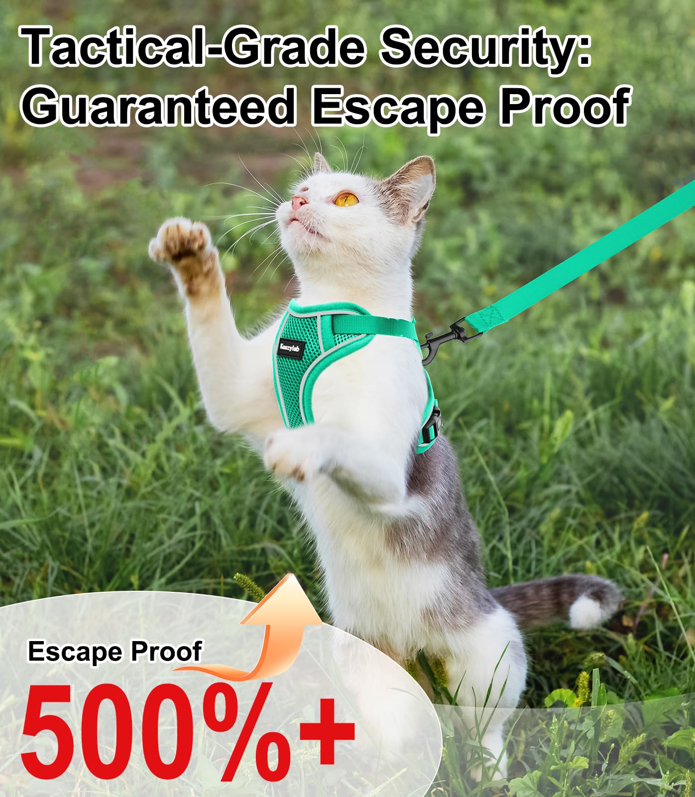 Kaazylab harness adjustable straps and buckles for quick and secure fitting.