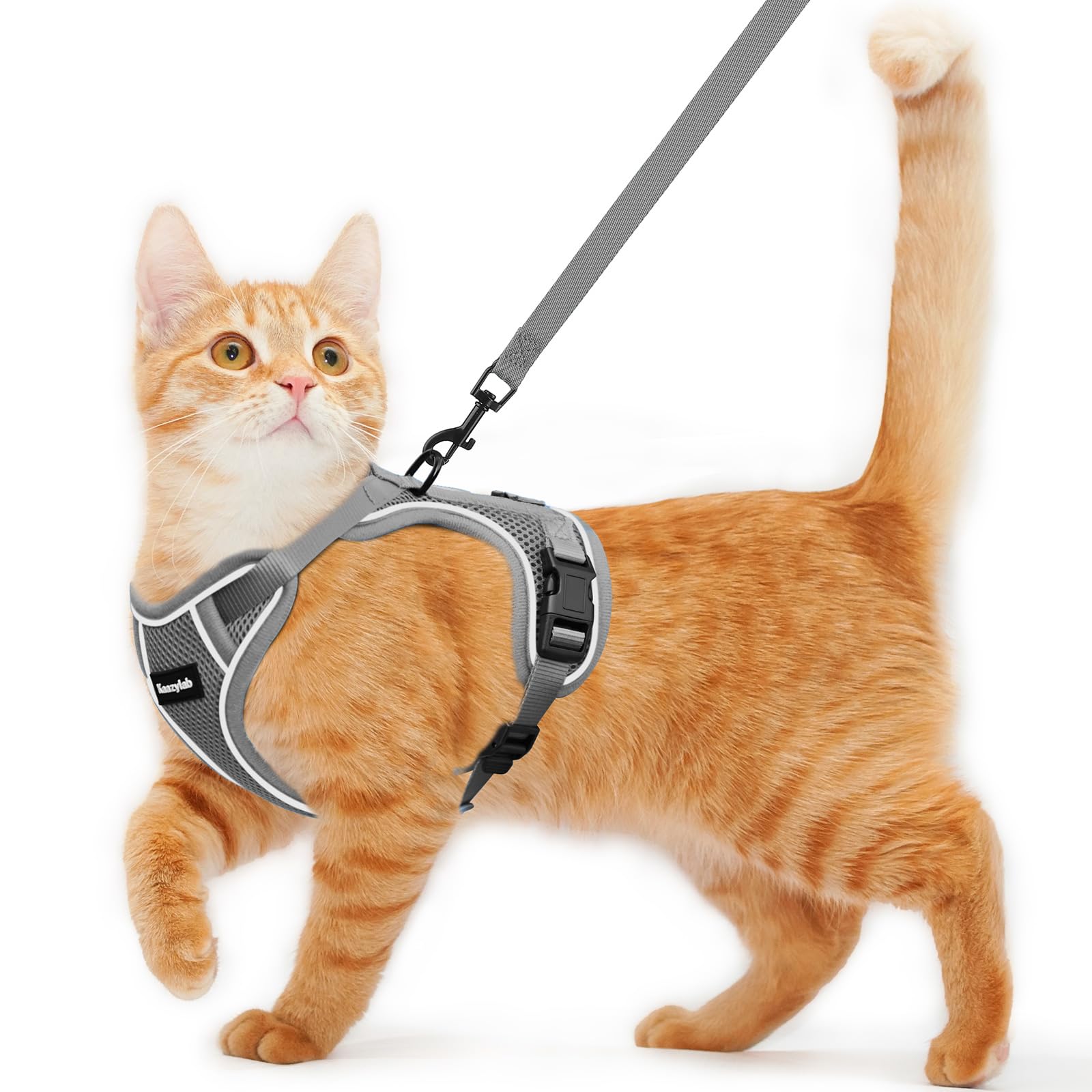 Kaazylab cat harness escape-proof design keeps adventurous cats secure outdoors.