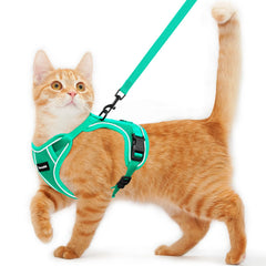Kaazylab cat harness front view with escape-proof design for safe outdoor walks.
