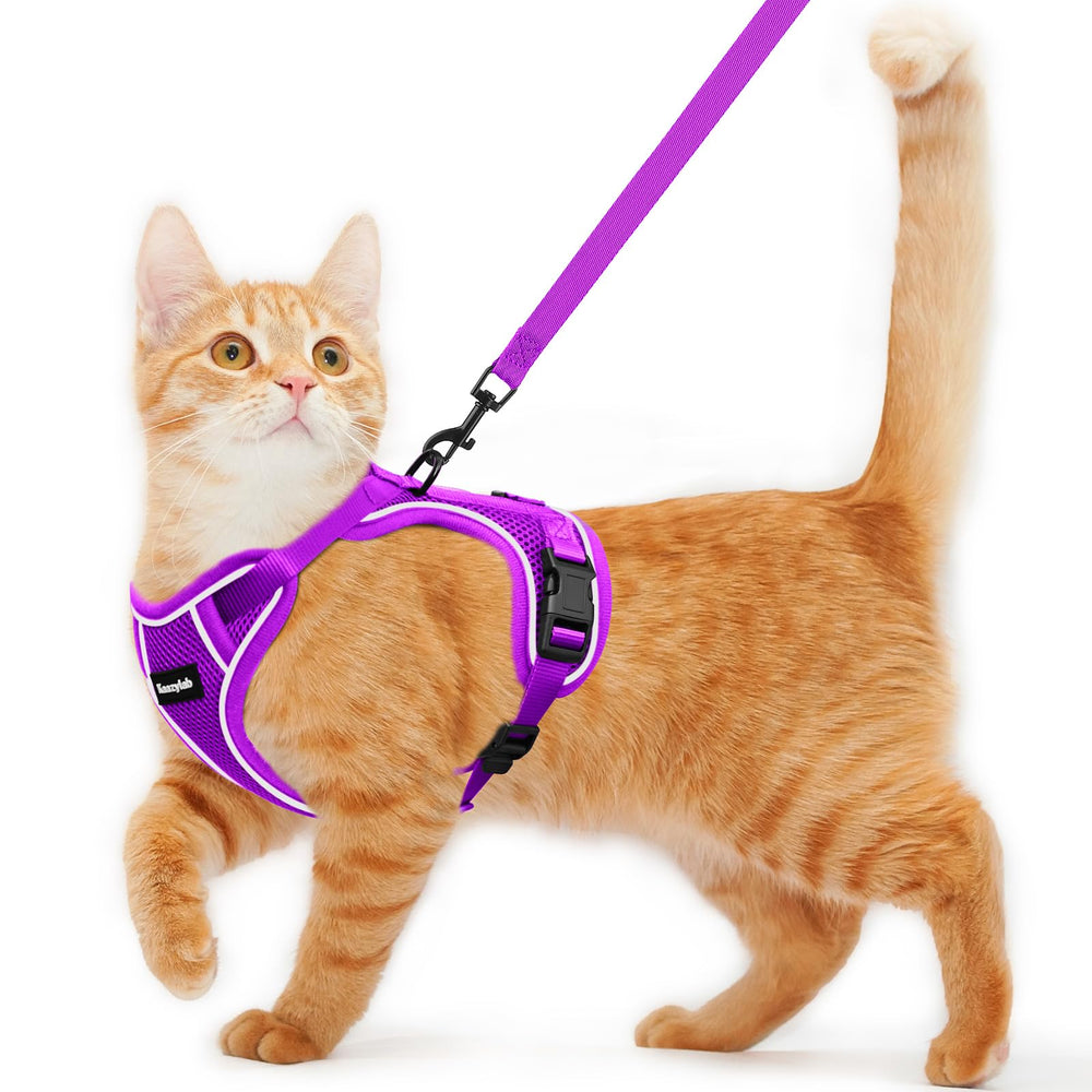 Kaazylab escape-proof cat harness shown for secure outdoor walks.