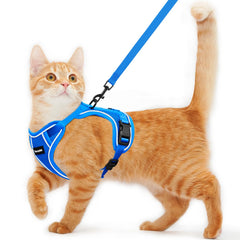 Kaazylab cat harness escape-proof design keeps curious cats secure outdoors.