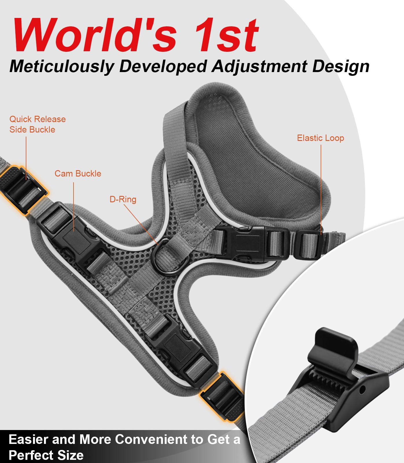 Kaazylab cat harness reflective strips enhance visibility in low light.